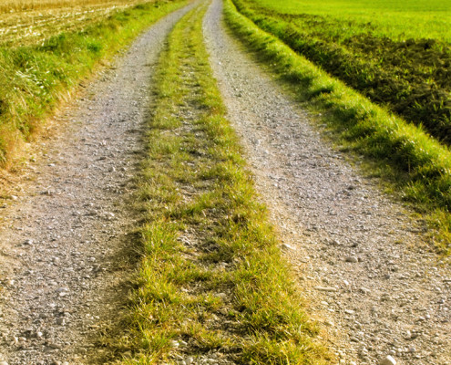 Simple Field Path